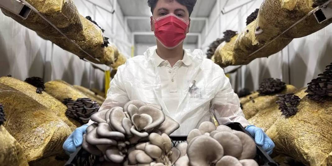 Genç girişimci üretiyor, 12 ay ürün alıyor: Zamanla ihracata geçmeyi hedefliyor 1